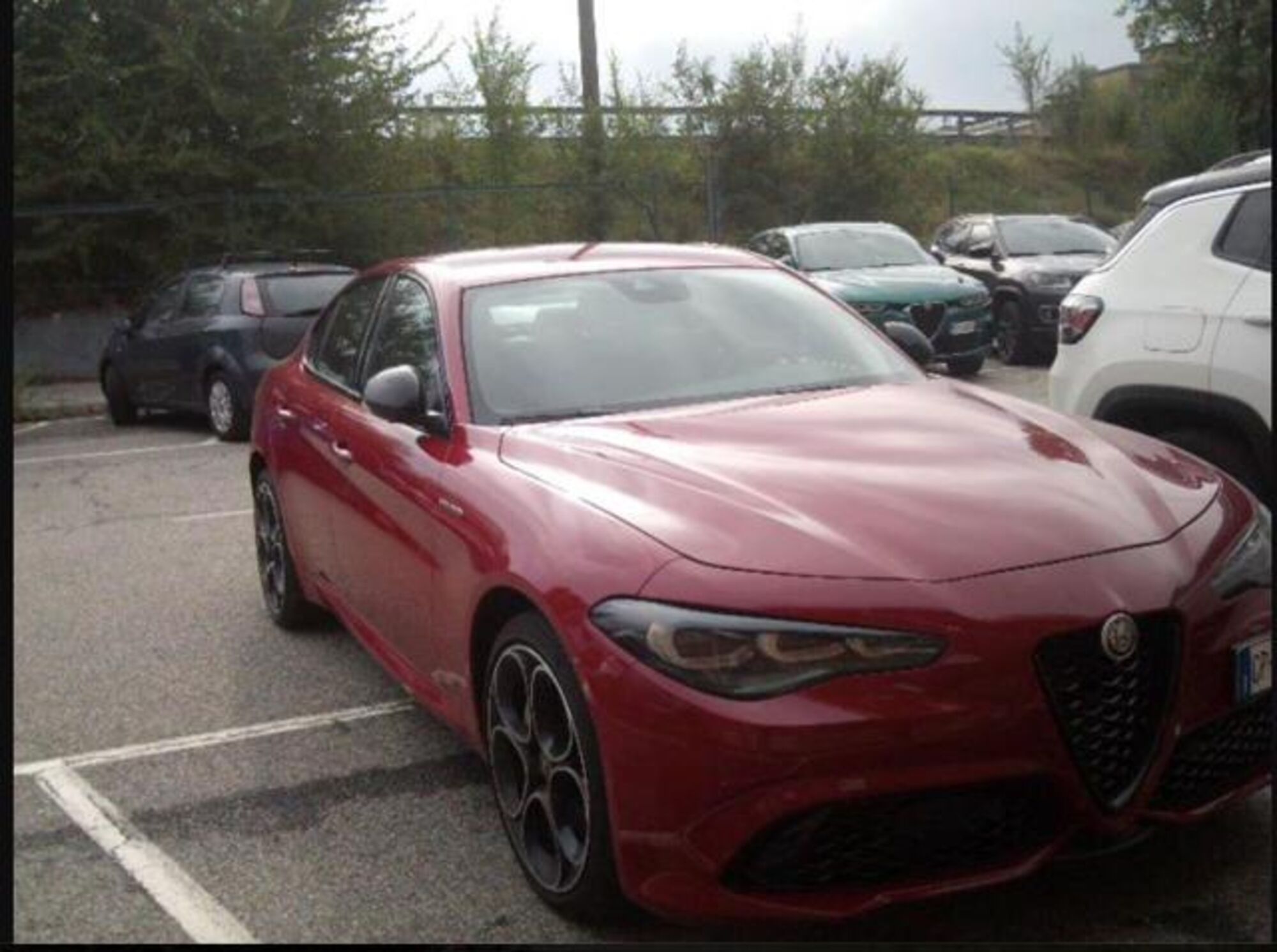 Alfa Romeo Giulia 2.0 Turbo 280 CV AT8 AWD Q4 Veloce  del 2023 usata a Cesena