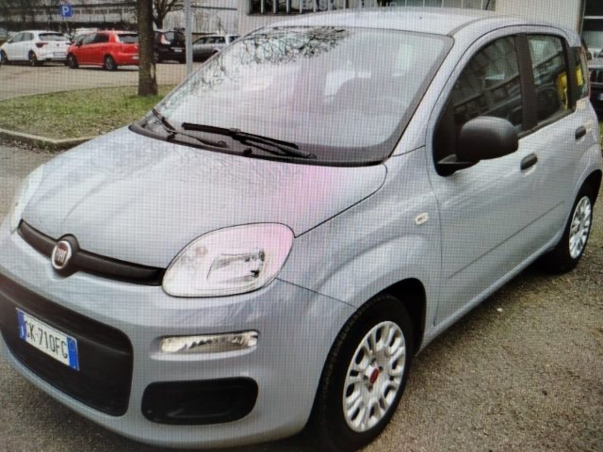 Fiat Panda 1.0 firefly hybrid s&amp;s 70cv del 2022 usata a Cesena