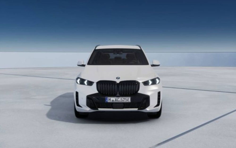 BMW X5 nuova a Modena (3)