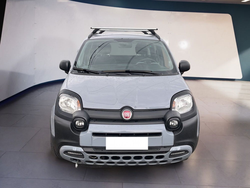 Fiat Panda Cross usata a Torino