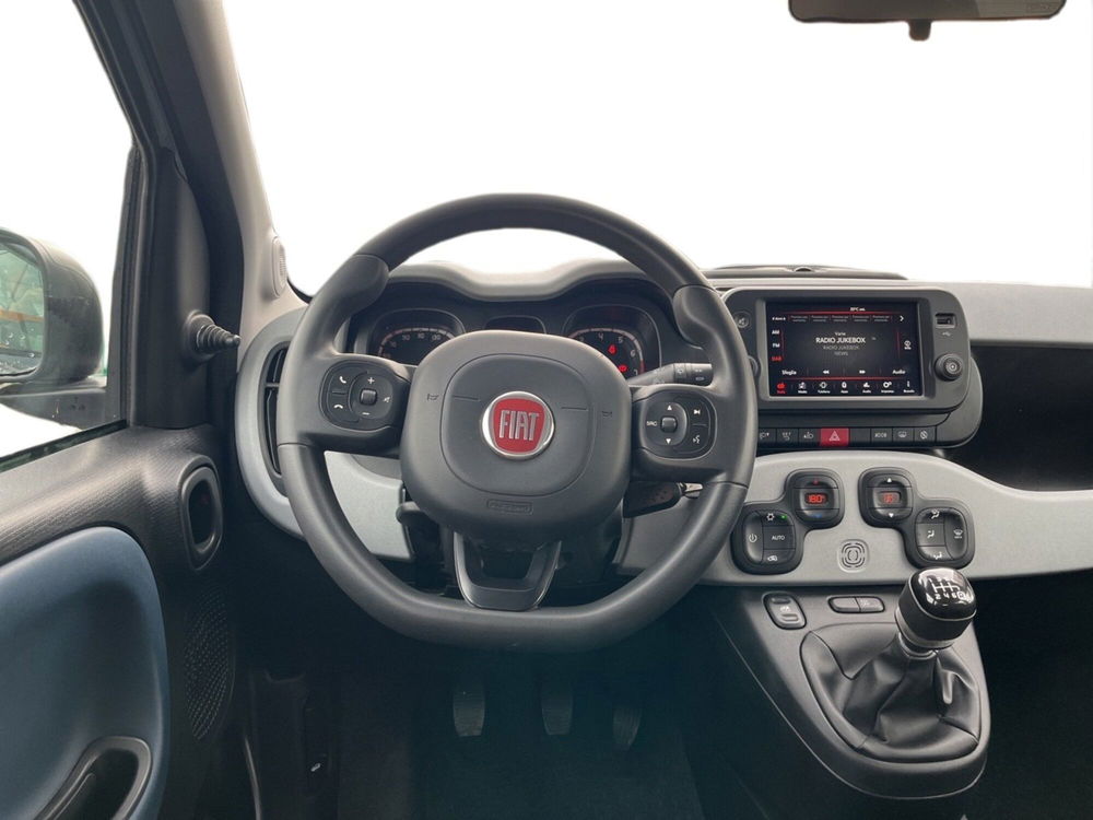 Fiat Panda Cross usata a Torino (11)