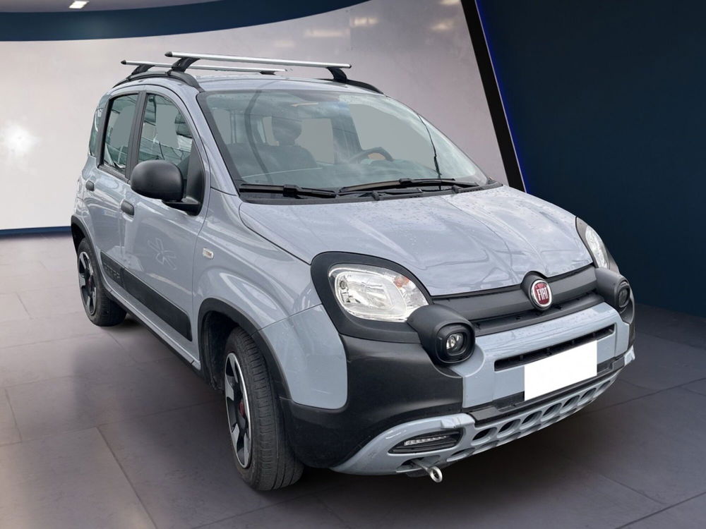 Fiat Panda Cross usata a Torino (2)