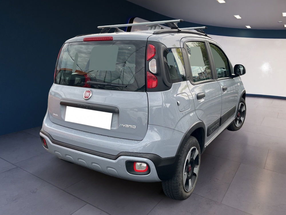 Fiat Panda Cross usata a Torino (5)