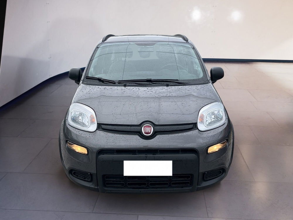 Fiat Panda usata a Torino