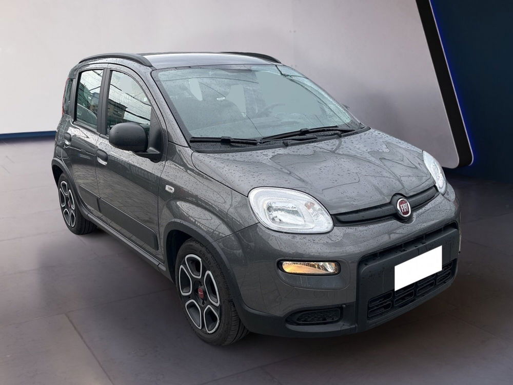 Fiat Panda usata a Torino (2)