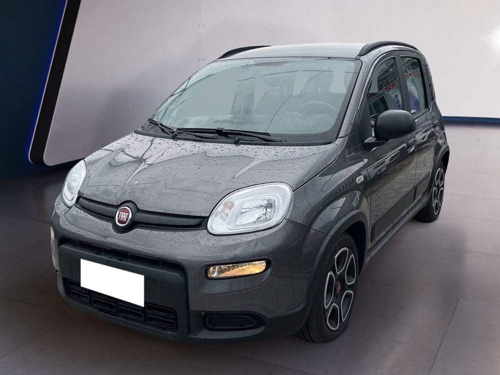 Fiat Panda usata a Torino (3)