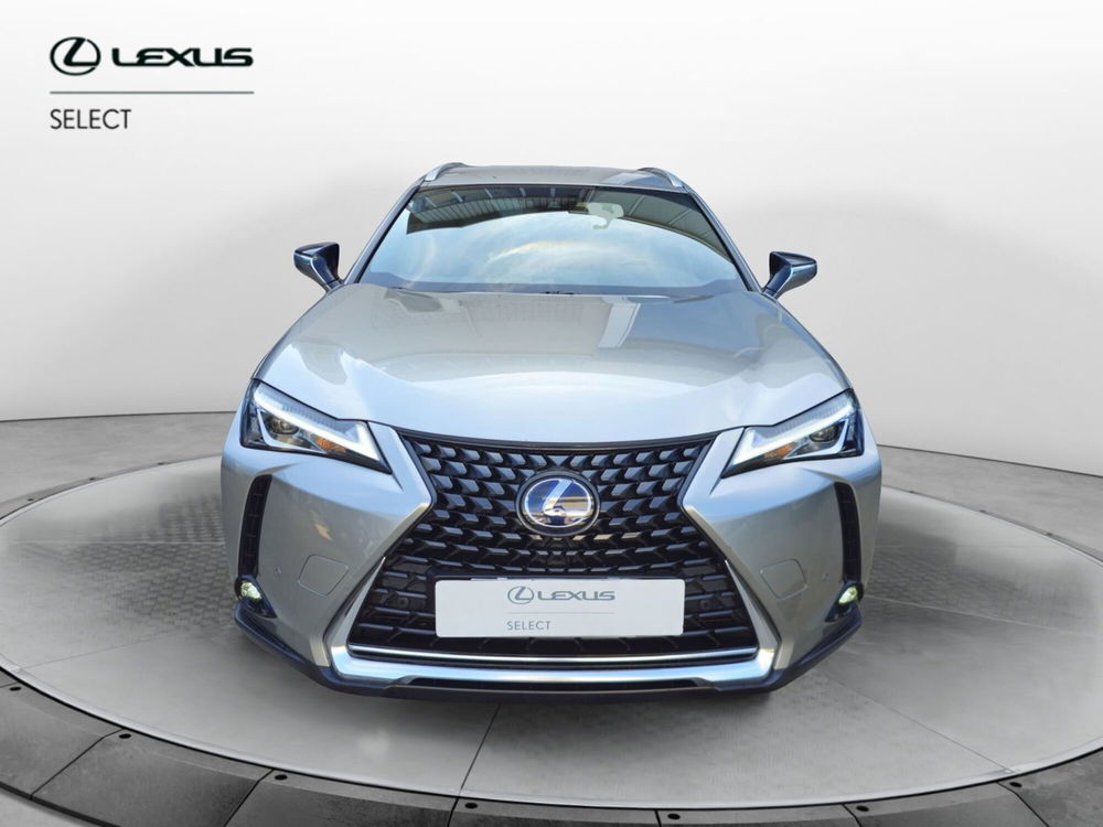 Lexus UX usata a Cremona (2)