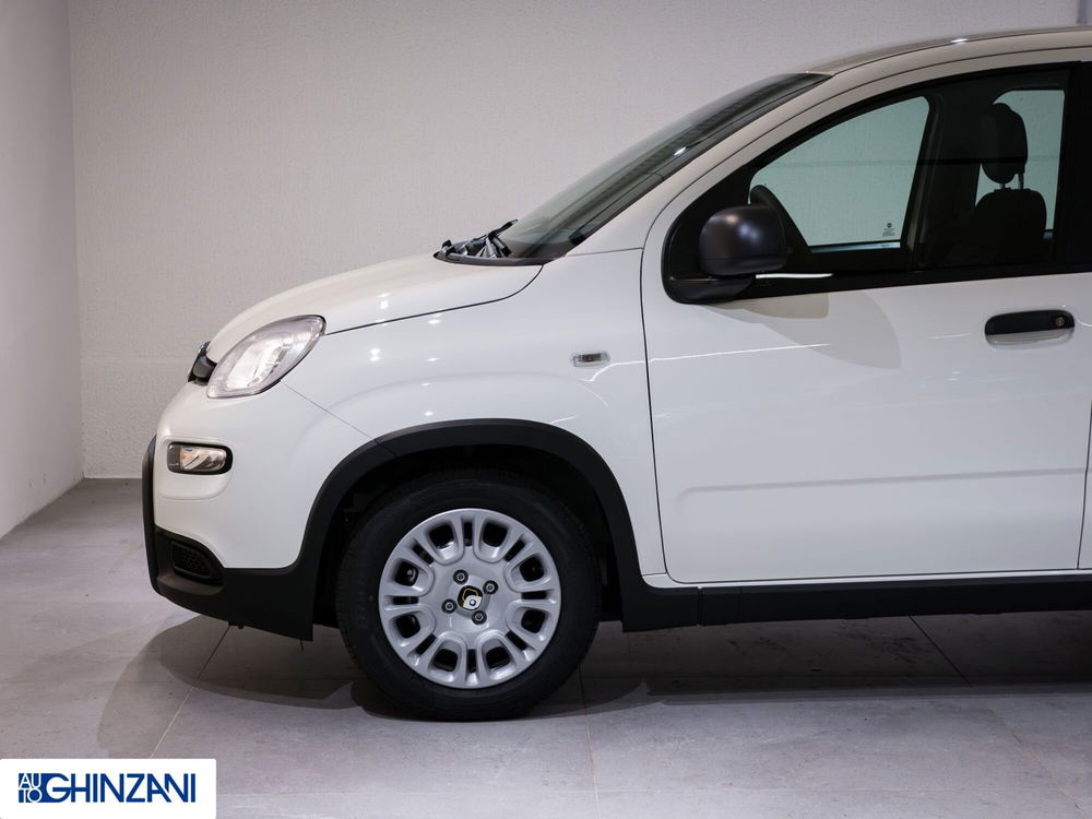 Fiat Panda Cross nuova a Bergamo (9)