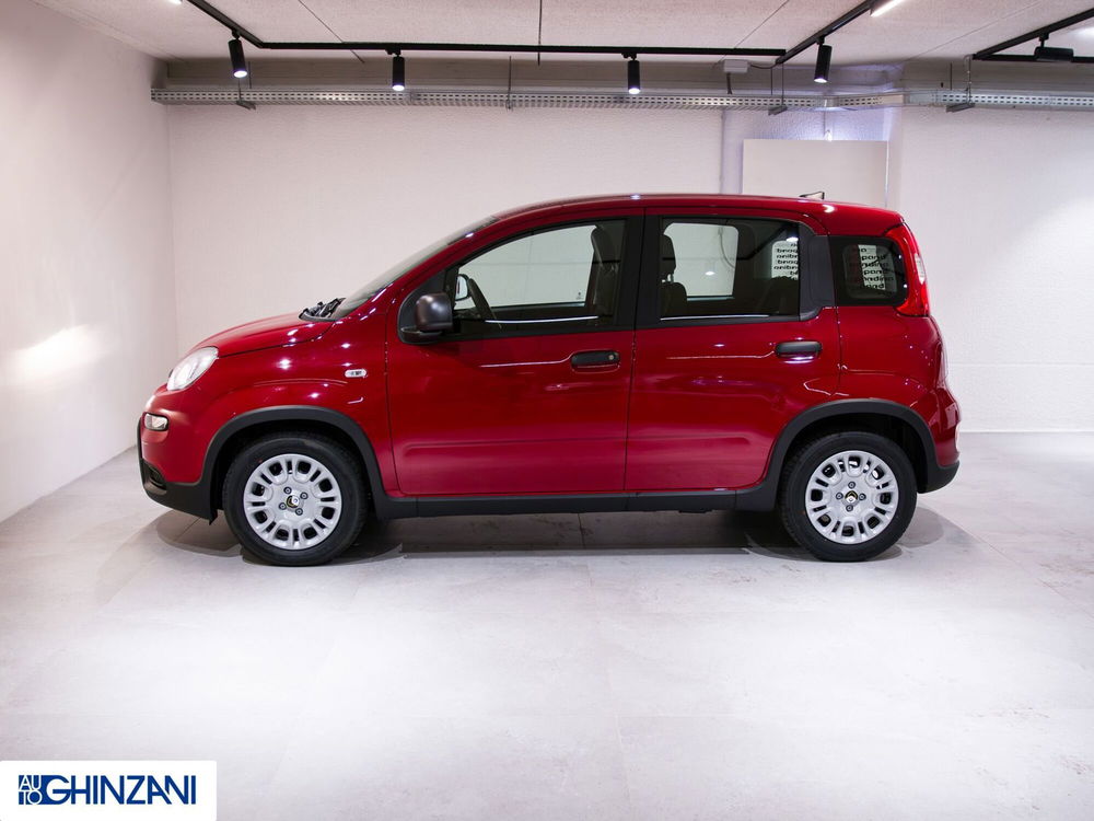 Fiat Panda nuova a Bergamo (5)