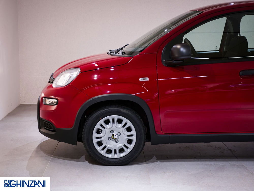 Fiat Panda nuova a Bergamo (9)