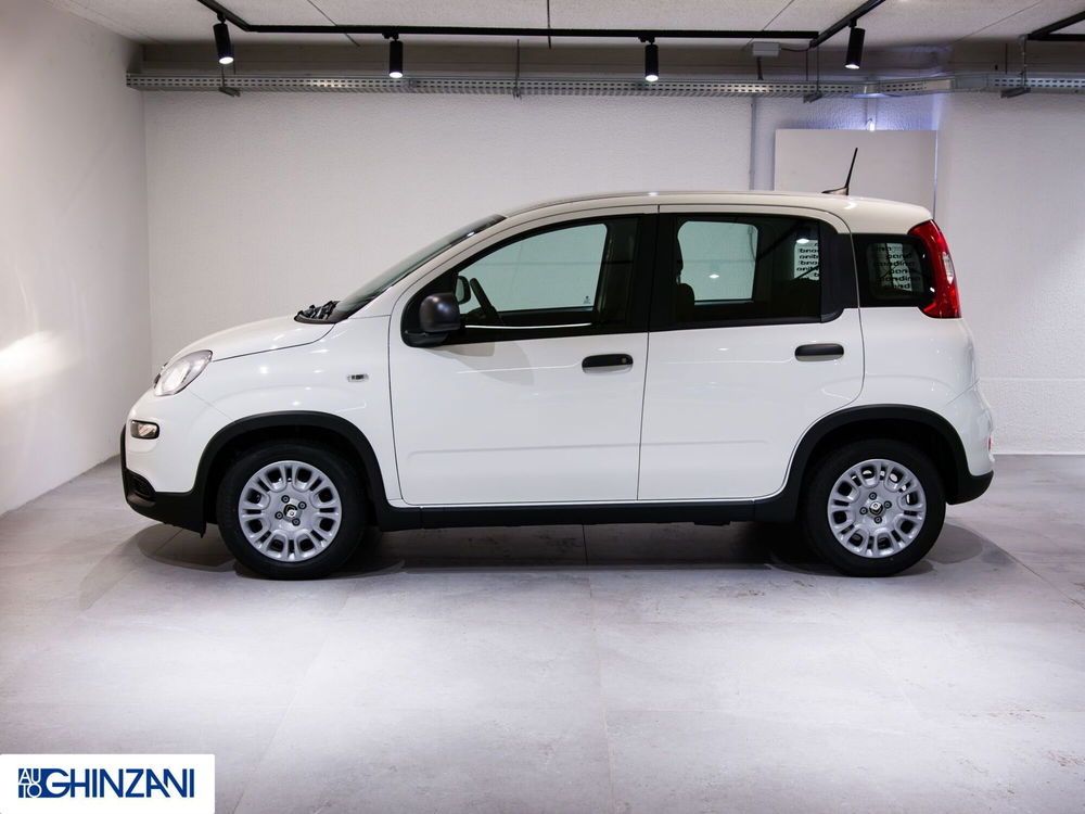 Fiat Panda Cross nuova a Bergamo (5)