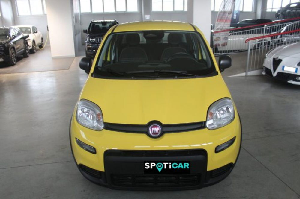 Fiat Panda nuova a Terni (2)