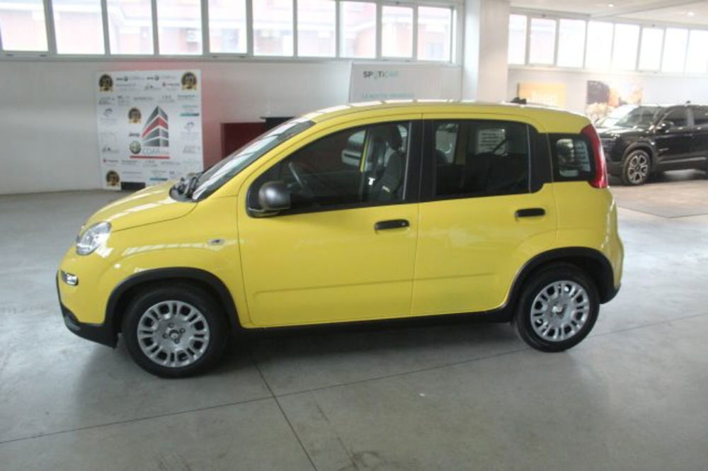 Fiat Panda nuova a Terni (3)