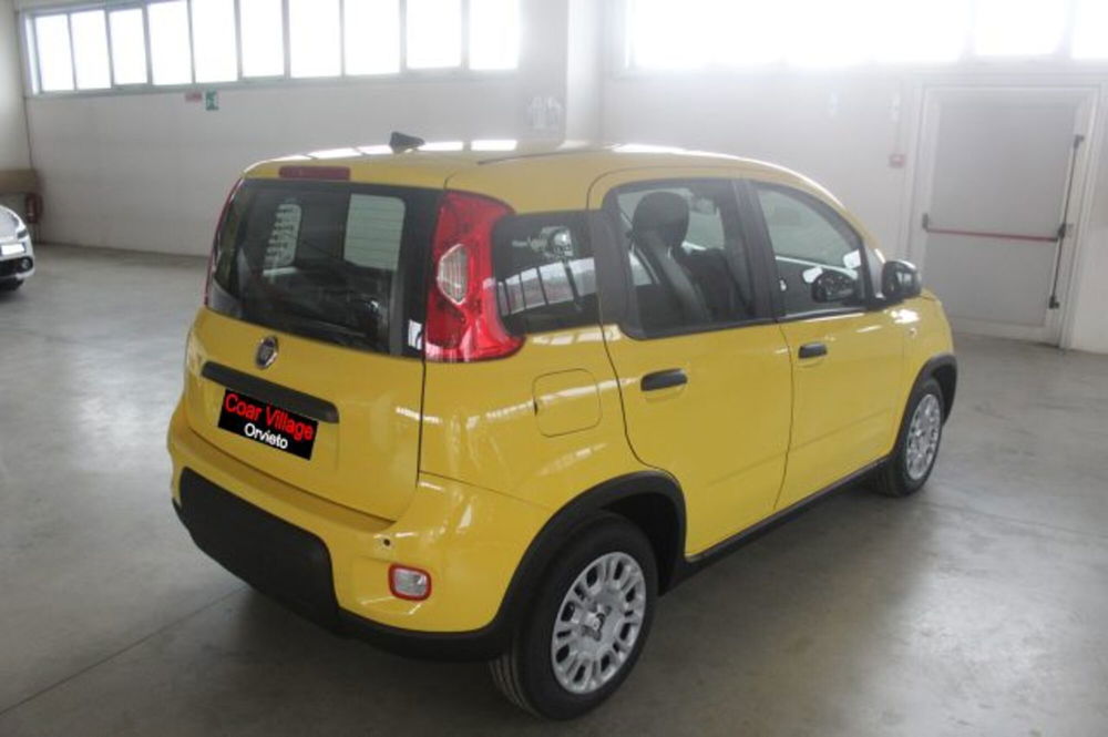 Fiat Panda nuova a Terni (4)