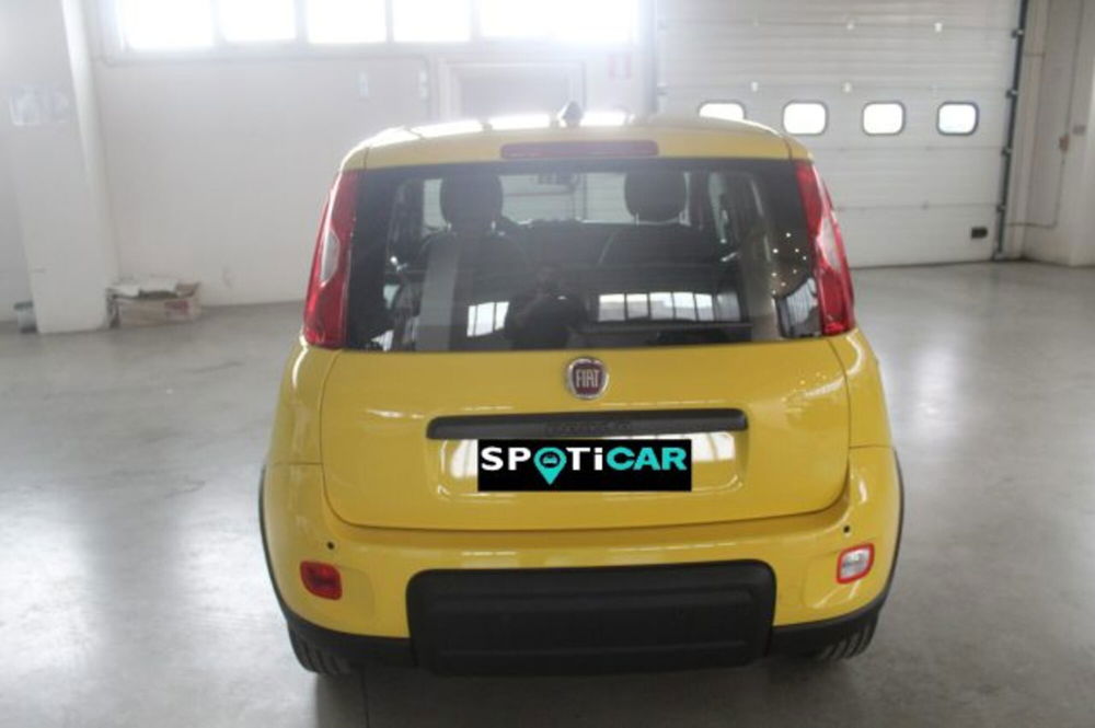 Fiat Panda nuova a Terni (5)