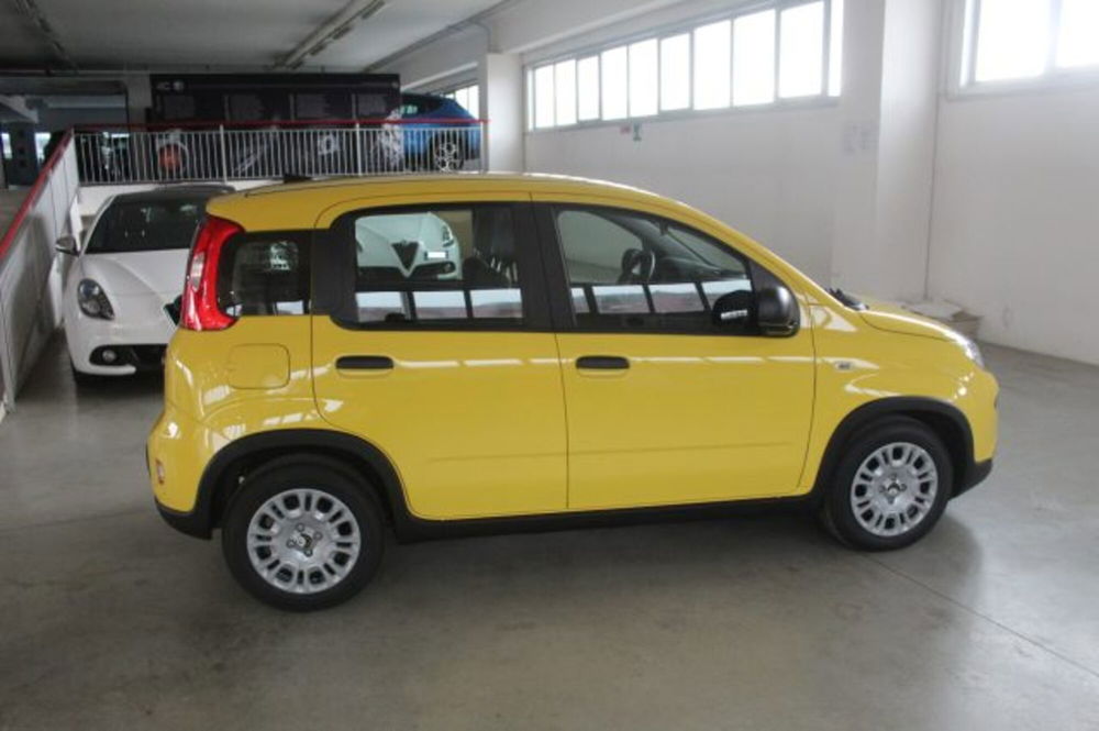 Fiat Panda nuova a Terni (6)