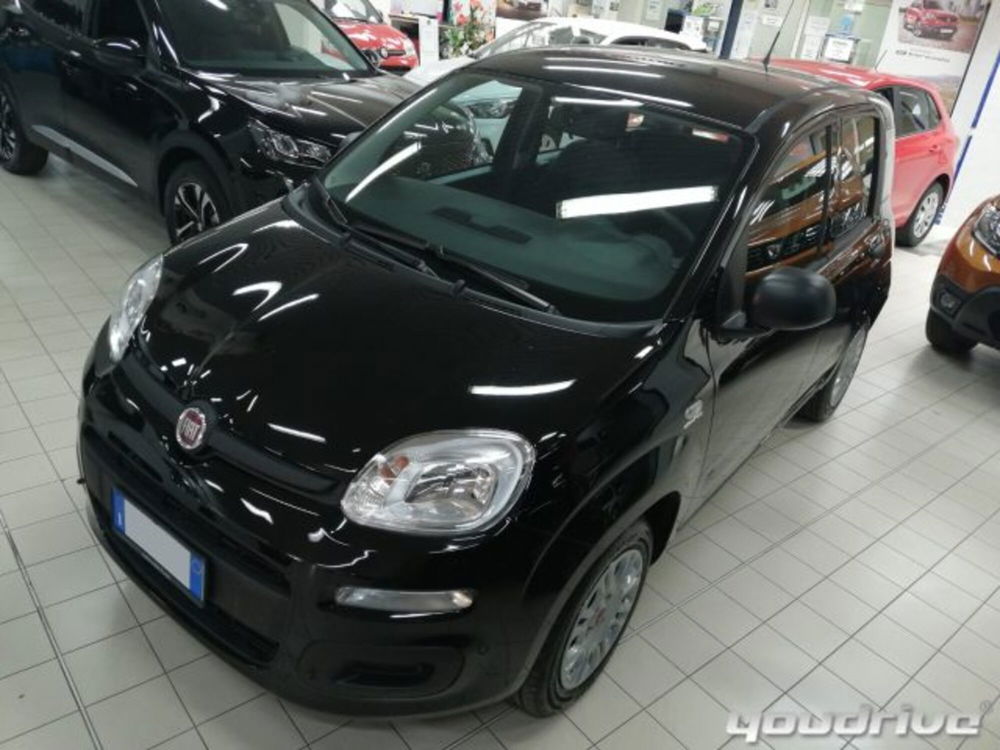 Fiat Panda usata a Napoli (18)