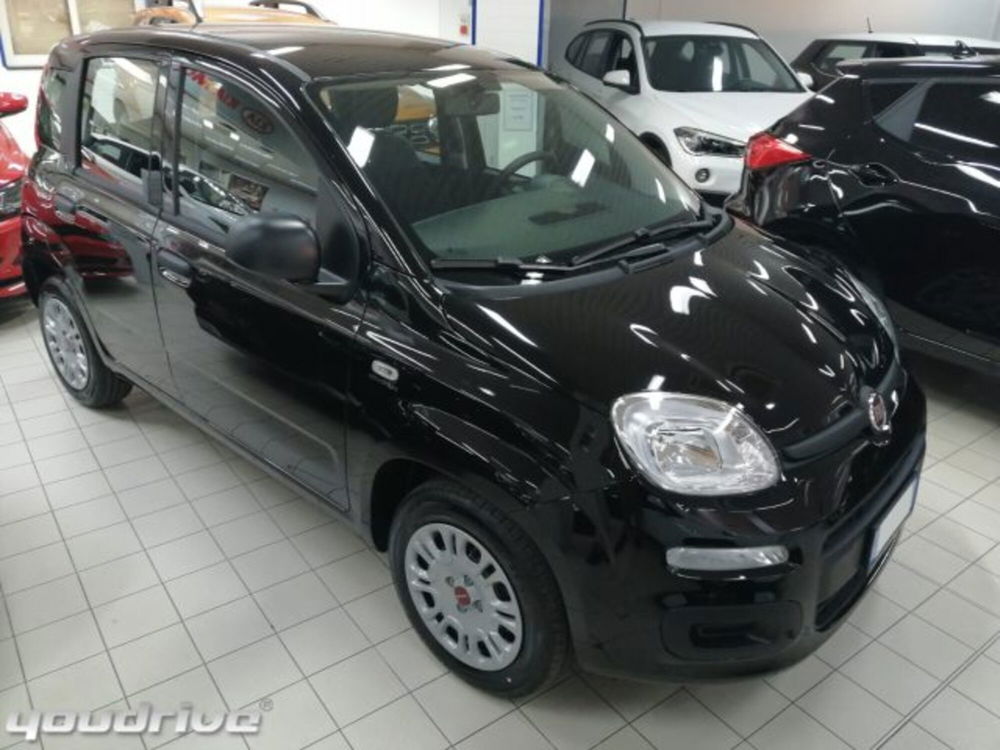 Fiat Panda usata a Napoli (2)