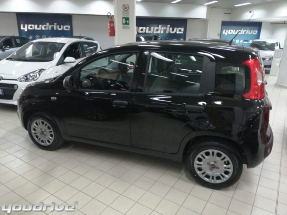 Fiat Panda usata a Napoli (20)