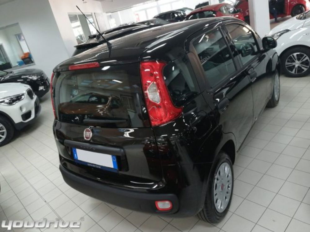 Fiat Panda usata a Napoli (3)