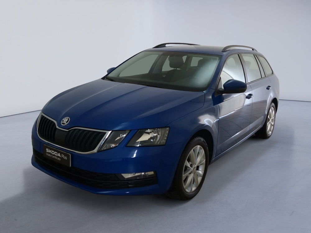 Skoda Octavia Station Wagon usata a Torino (3)