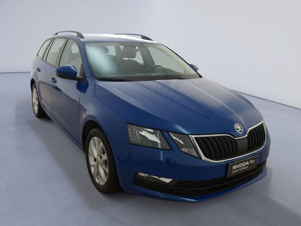 Skoda Octavia Station Wagon usata a Torino (4)