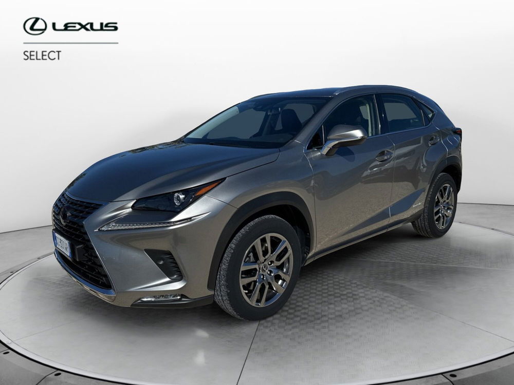 Lexus NX usata a Ragusa