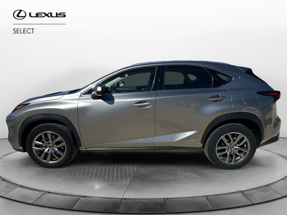 Lexus NX usata a Ragusa (2)