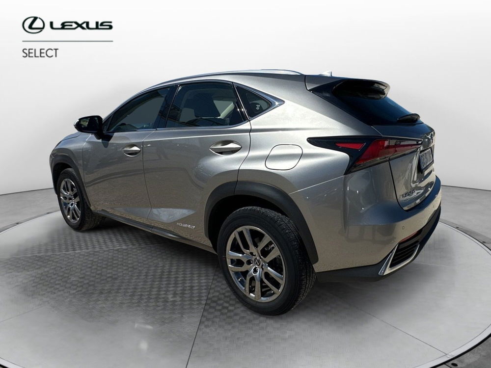 Lexus NX usata a Ragusa (4)