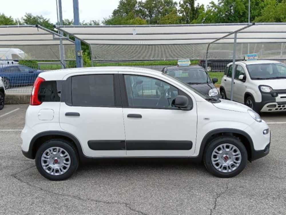 Fiat Panda nuova a Brescia (4)