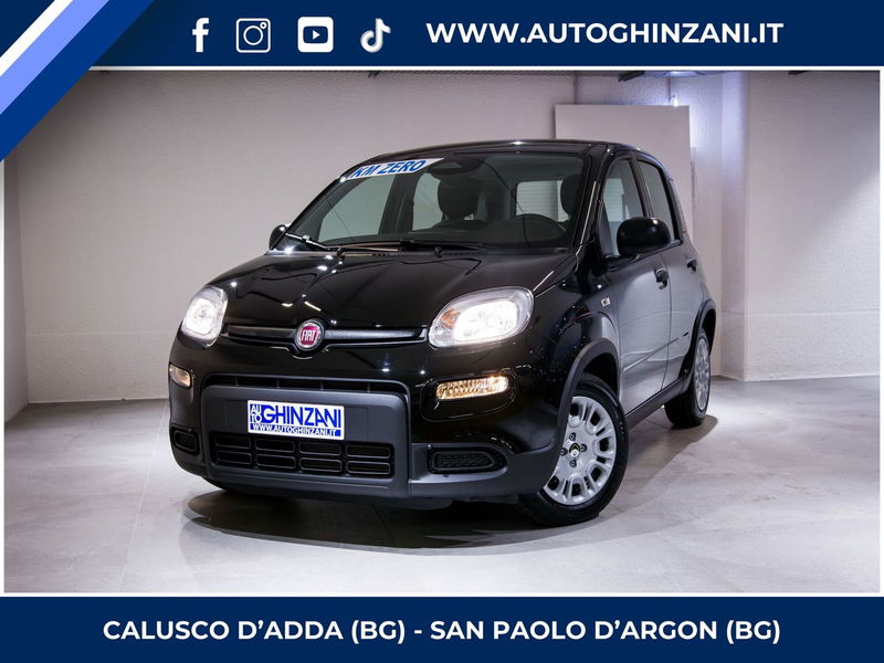 Fiat Panda Cross Cross 1.0 FireFly S&S Hybrid  nuova a Calusco d'Adda