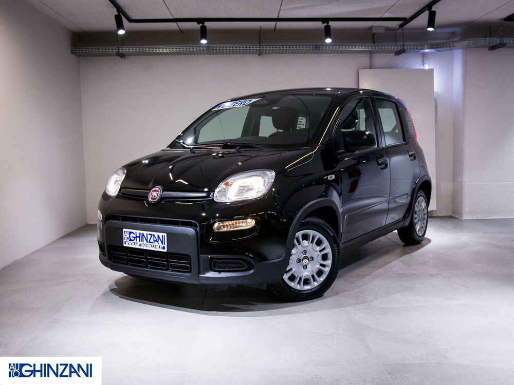 Fiat Panda nuova a Bergamo (3)