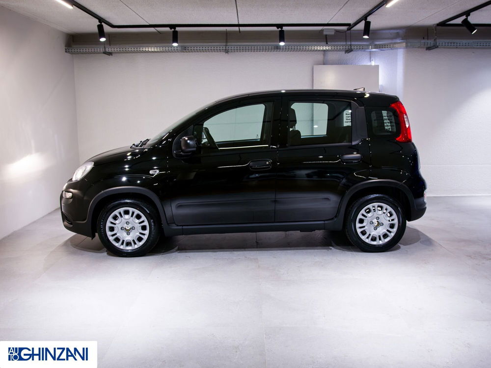 Fiat Panda nuova a Bergamo (5)