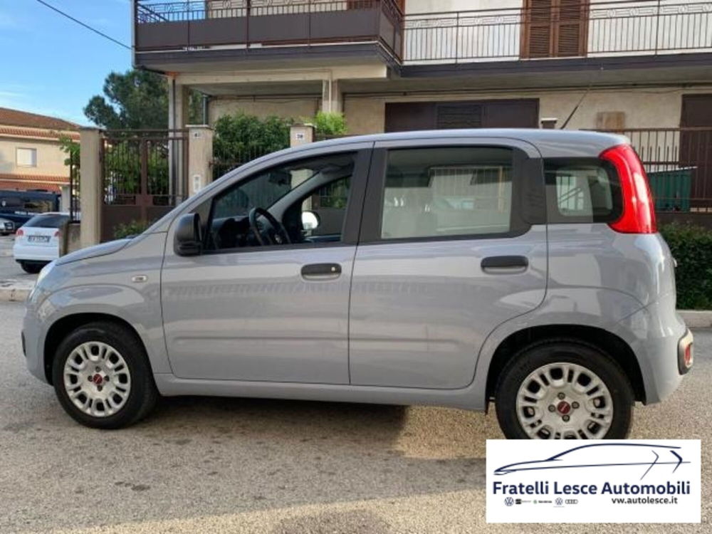 Fiat Panda usata a Cosenza (2)