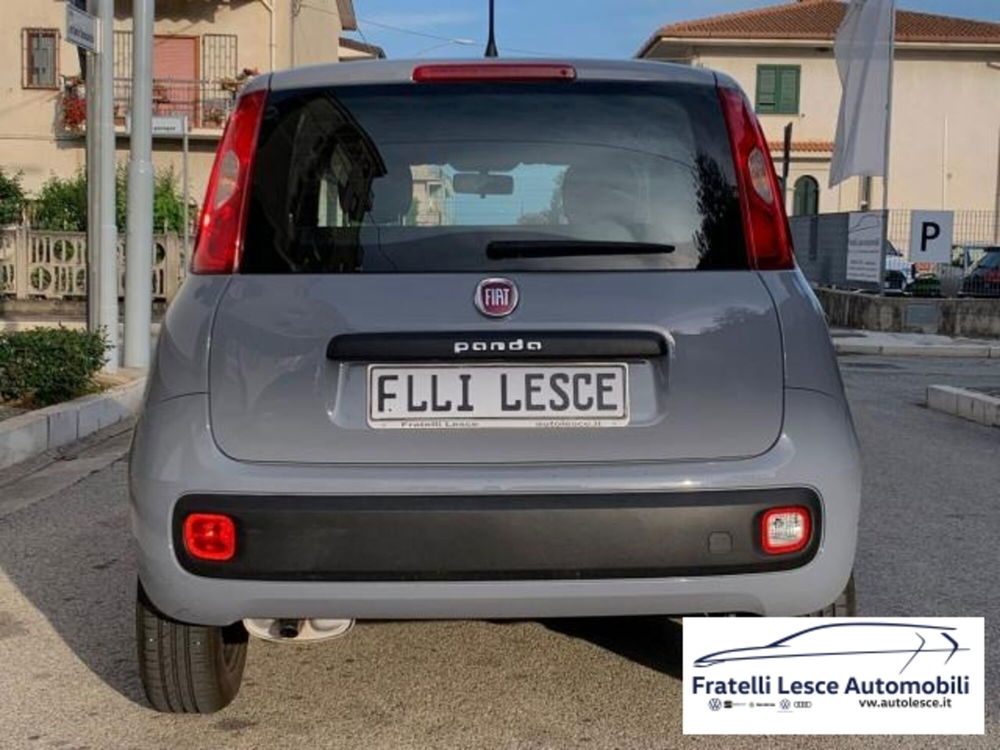 Fiat Panda usata a Cosenza (6)