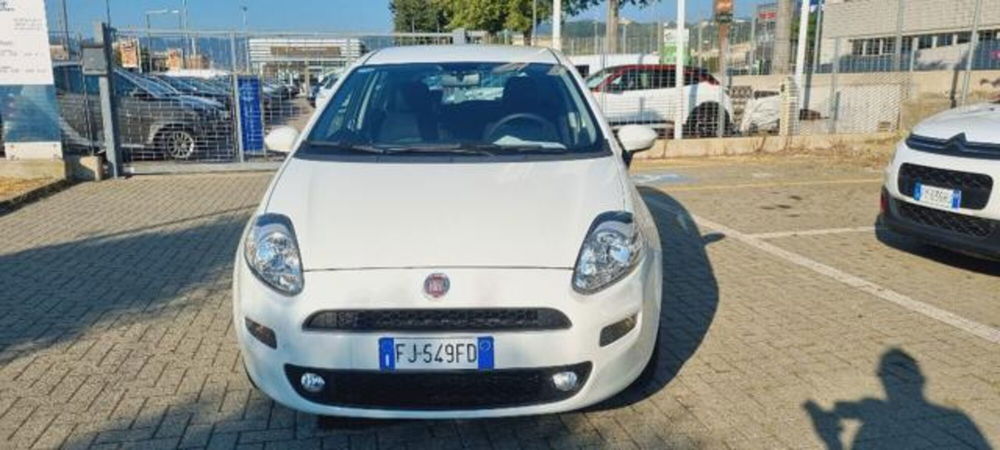 Fiat Punto usata a Savona