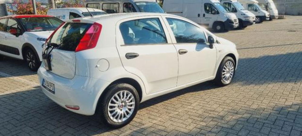 Fiat Punto usata a Savona (11)