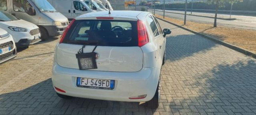 Fiat Punto usata a Savona (13)