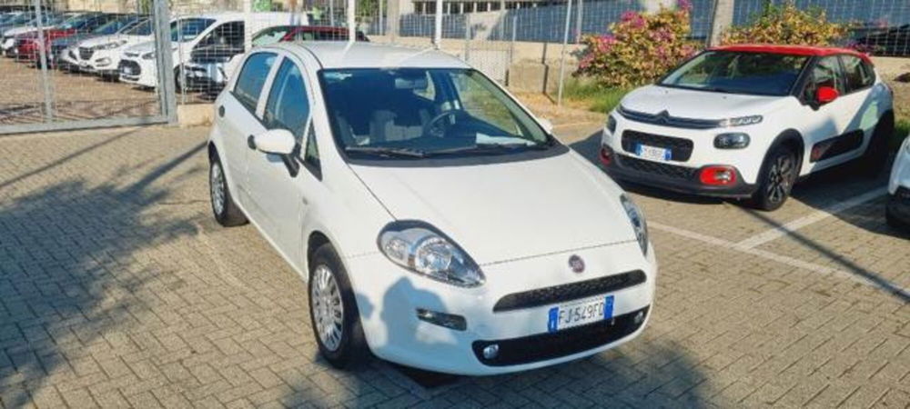 Fiat Punto usata a Savona (3)