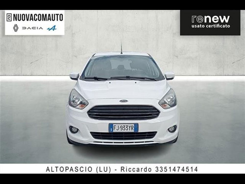 Ford Ka usata a Firenze (2)