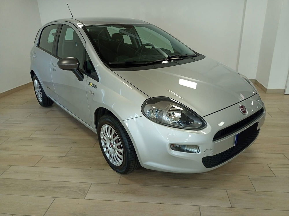 Fiat Punto usata a Torino