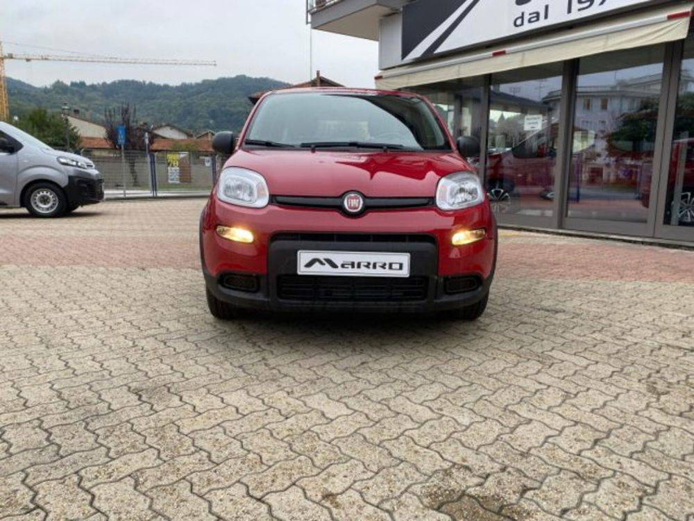 Fiat Panda nuova a Cuneo (2)