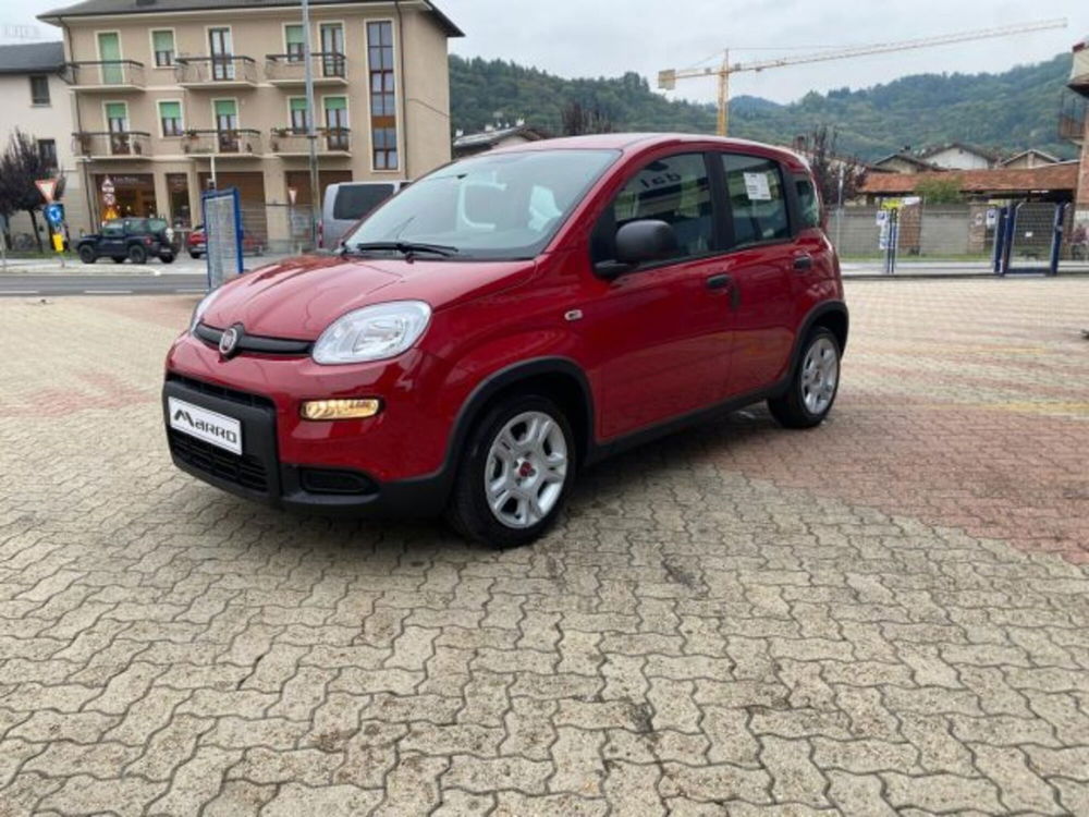 Fiat Panda nuova a Cuneo (3)