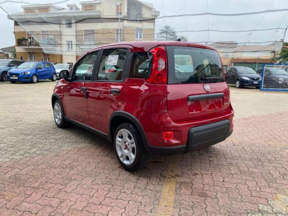 Fiat Panda nuova a Cuneo (4)