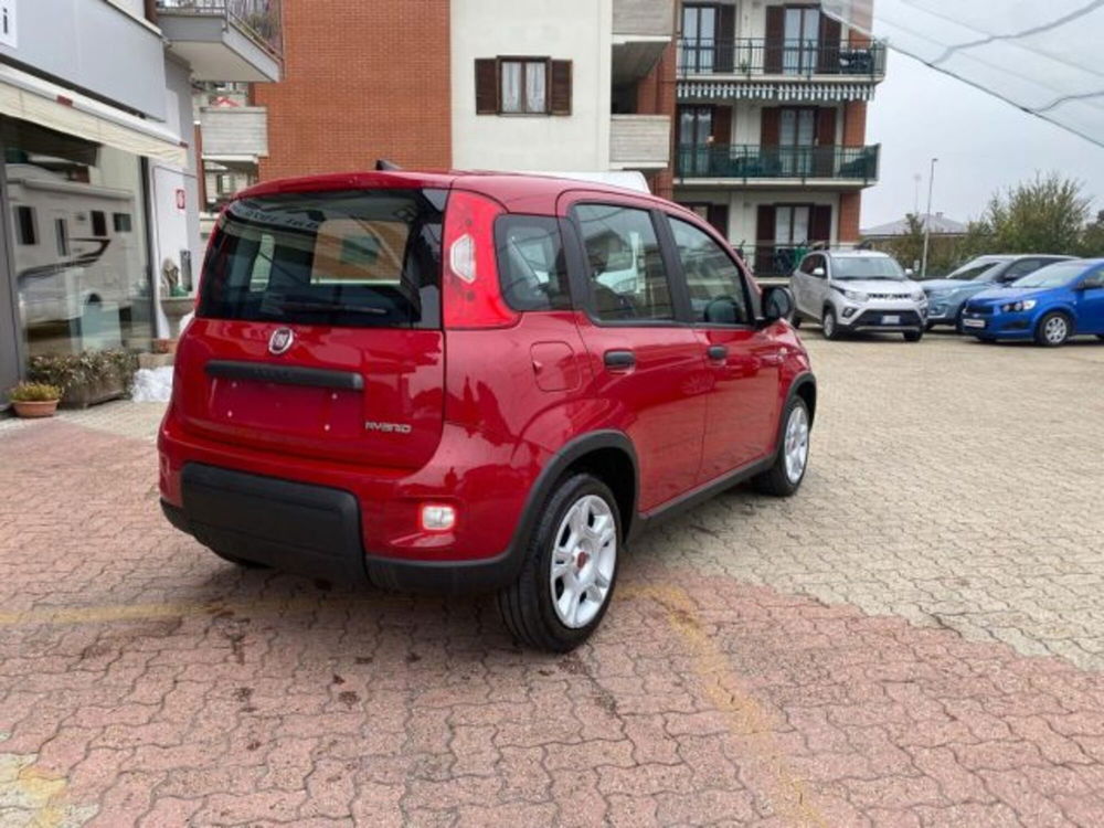 Fiat Panda nuova a Cuneo (5)