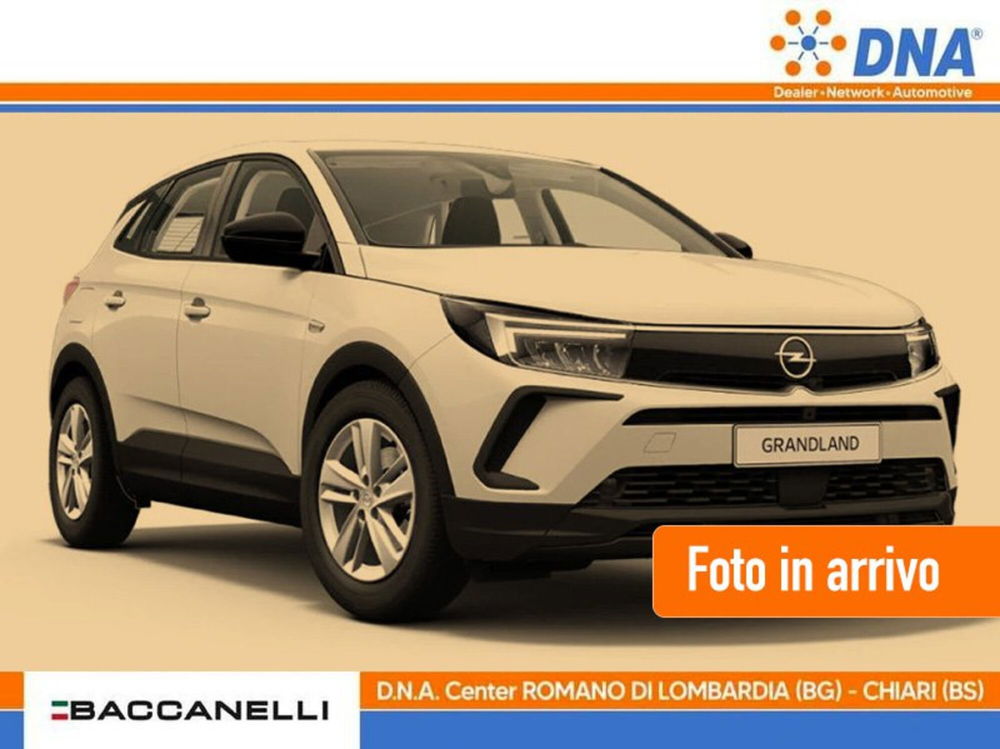 Opel Grandland usata a Bergamo