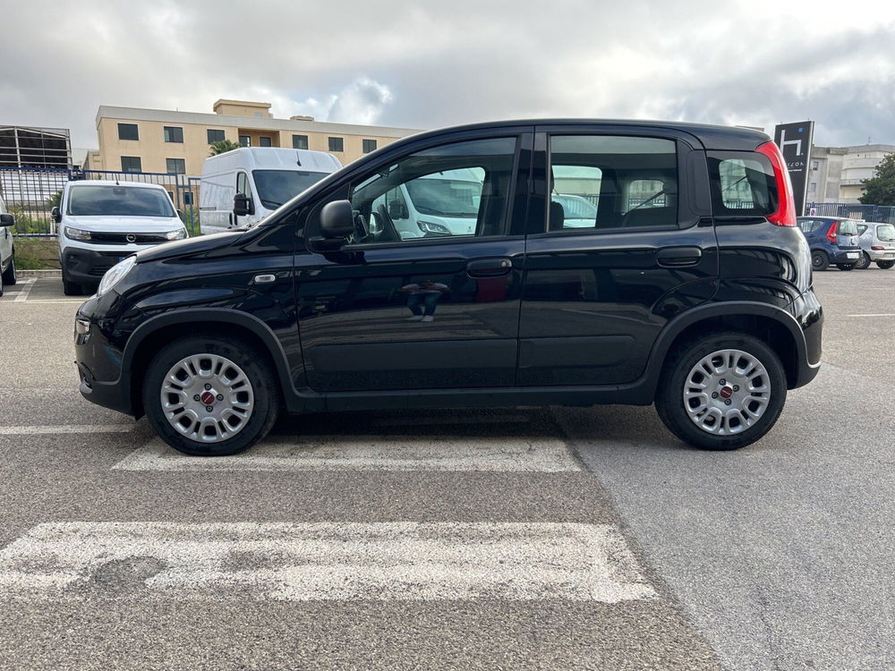 Fiat Panda nuova a Caltanissetta (2)