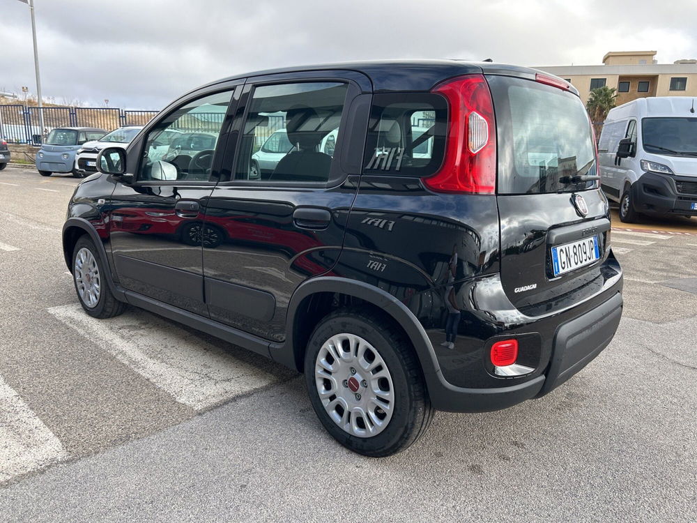 Fiat Panda nuova a Caltanissetta (4)