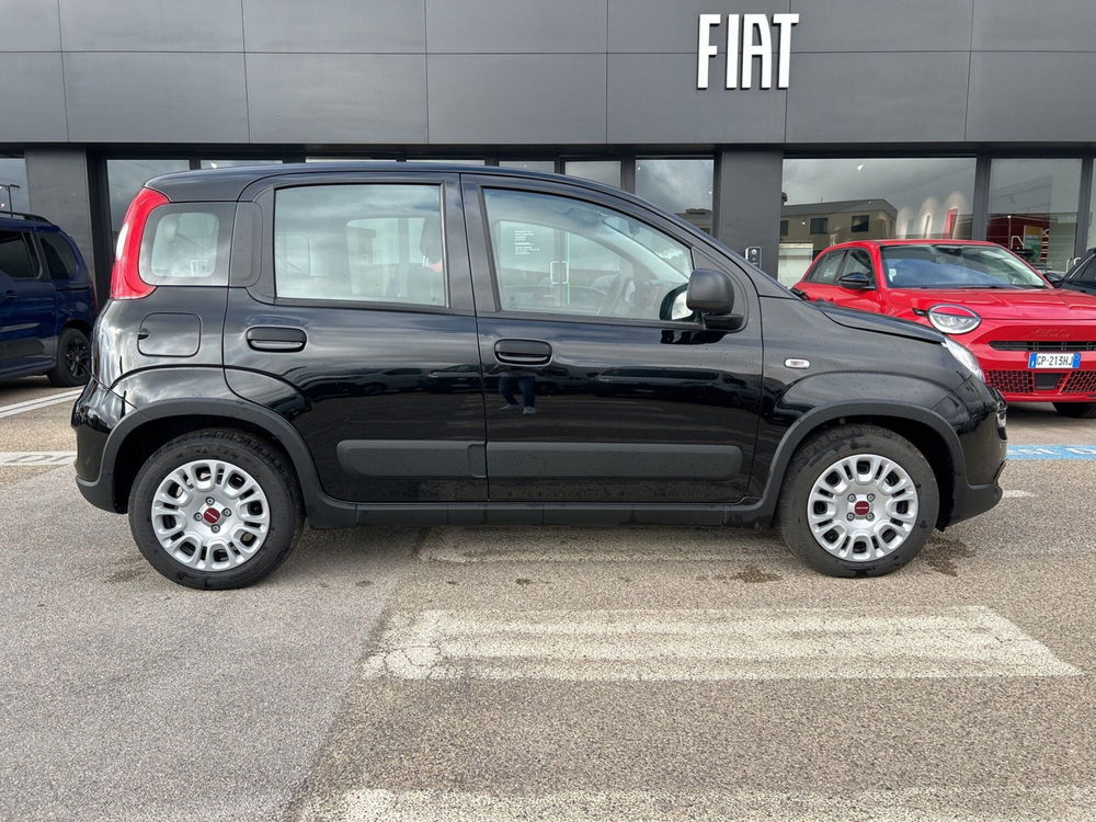 Fiat Panda nuova a Caltanissetta (6)