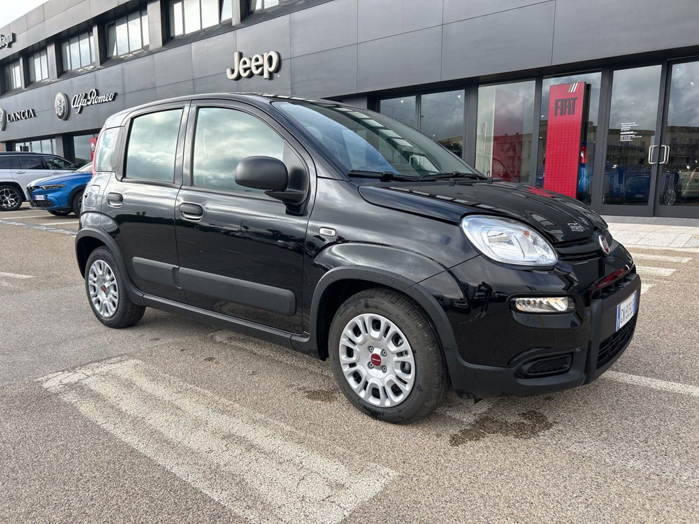 Fiat Panda nuova a Caltanissetta (7)